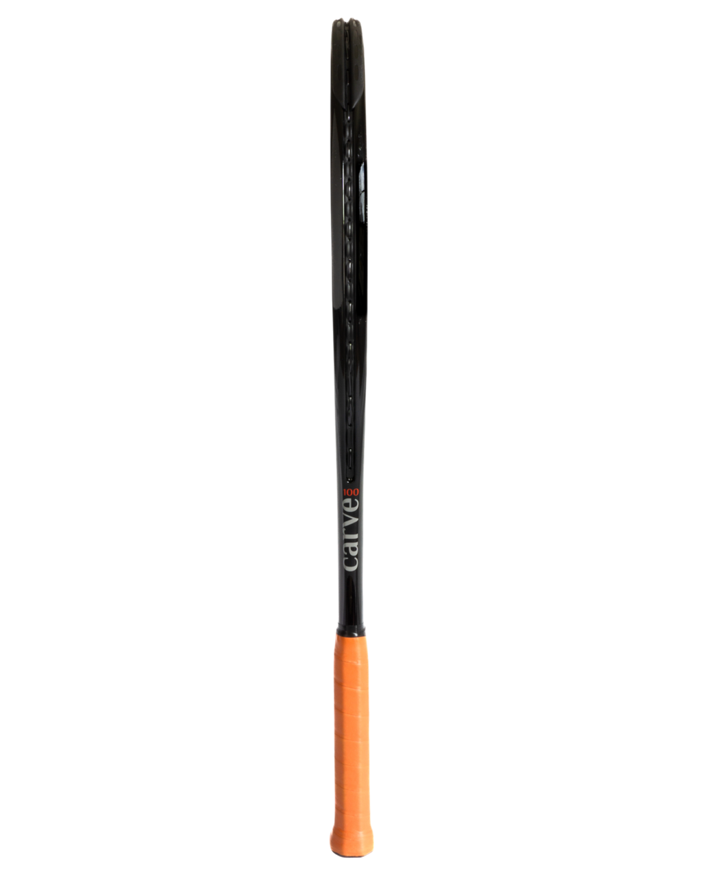 AllCourt 100